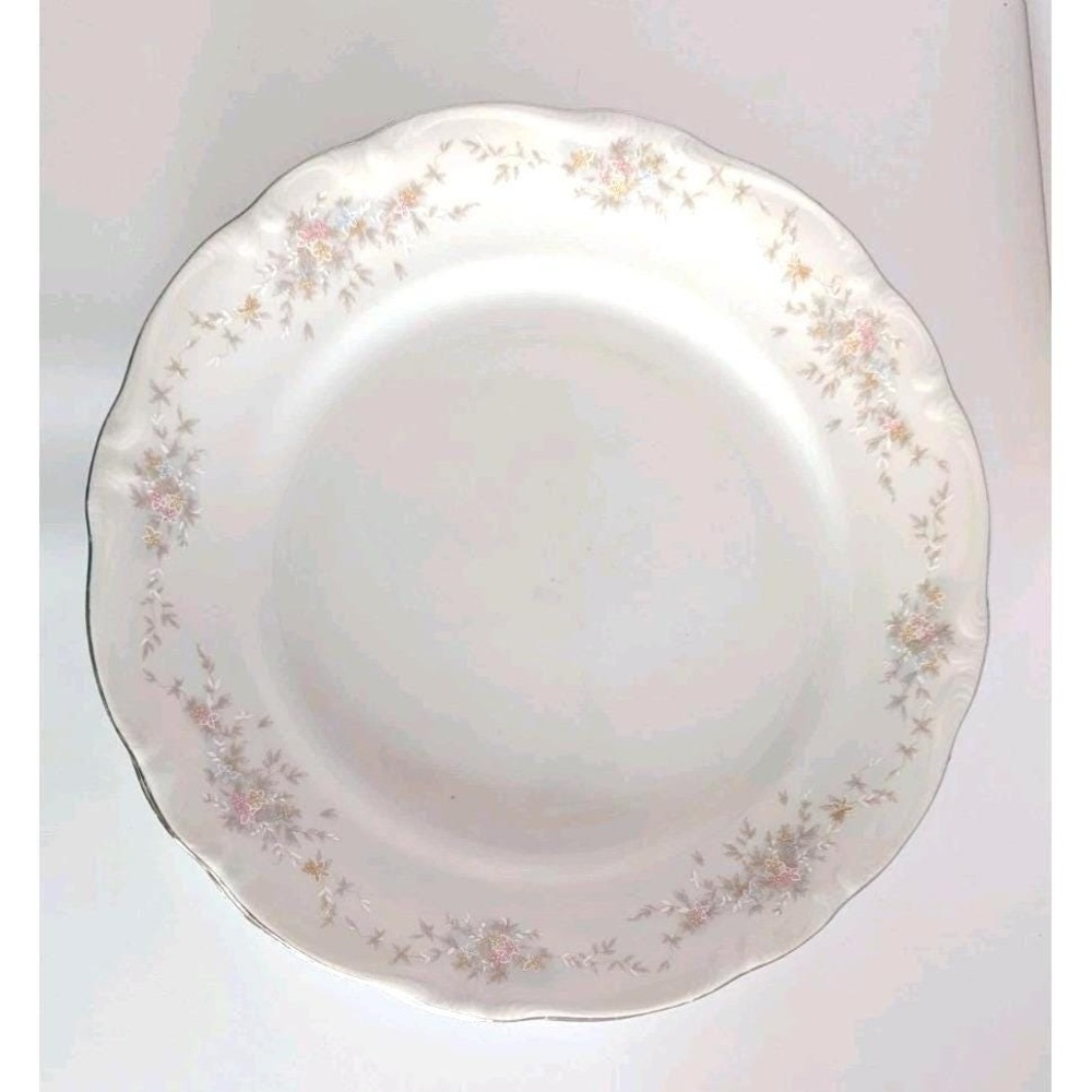 Johann Haviland Bavaria Floral Splendor 10 inch Dinner Plate Set of 2 Germany